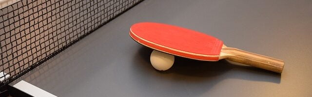 Section Tennis de table